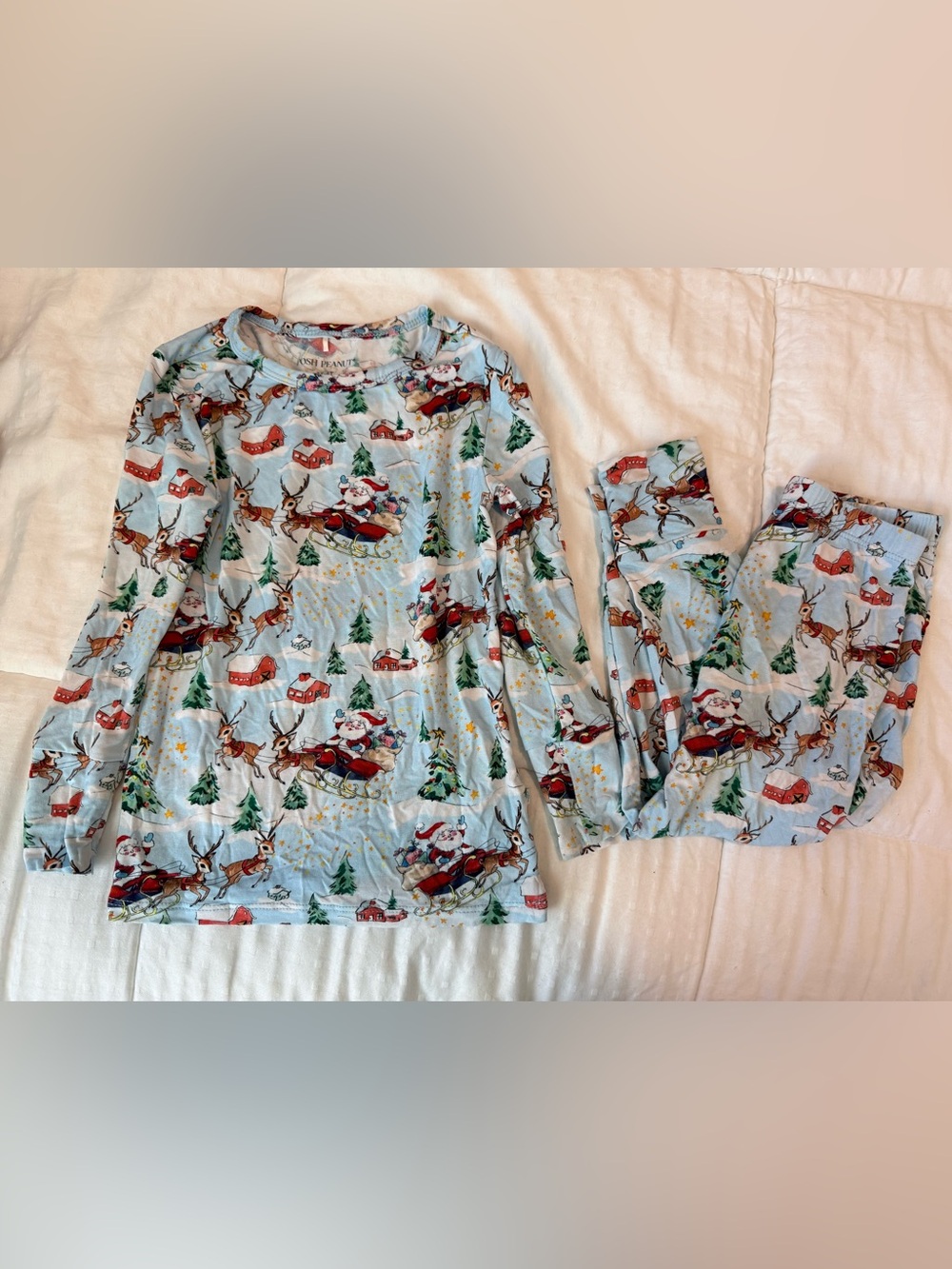 Posh Peanut Light Blue Santa Sleigh & Reindeer Kids Pajama Top
